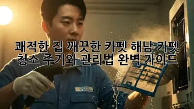 쾌적한 집, 깨끗한 카펫: 해남 카펫 청소 주기와 관리법 완벽 가이드