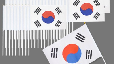 🇰🇷 애국심 뿜뿜! 득템템 ✨ 할인 중인 미니 태극기 후기